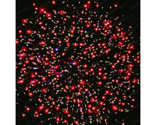 Фейерверк Р8472 Огни России 1,25х 100 залпов